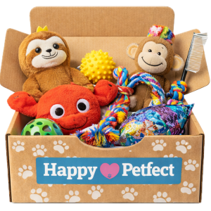 %5 İndirimli 6 Aylık Avantajlı Abonelik (12 Ay Taksit)