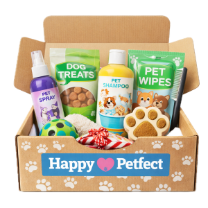 %3 İndirimli 3 Aylık Deneme Aboneliği (12 Ay Taksit)